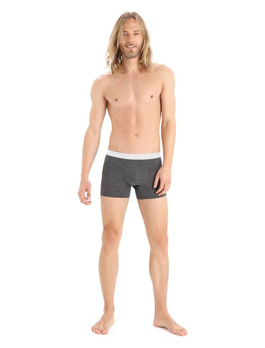 Sous Vêtement Icebreaker Cool-Lite™ Merino Anatomica Boxers Homme Taupe | FR 1319VRWD